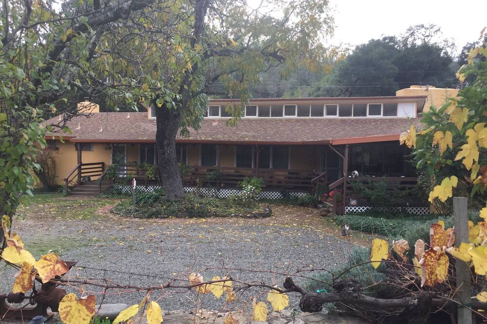 Photo of Outdoor in St. Helena