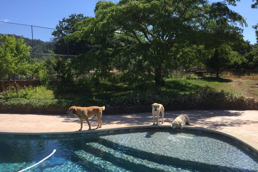 Photo of Outdoor in St. Helena