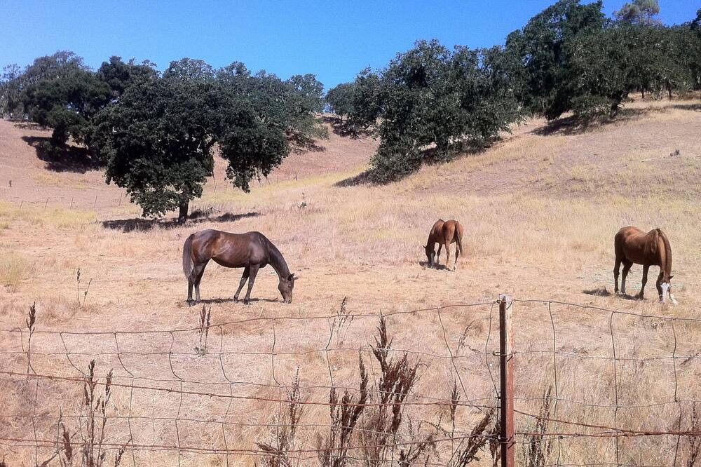 Photo of Outdoor in St. Helena