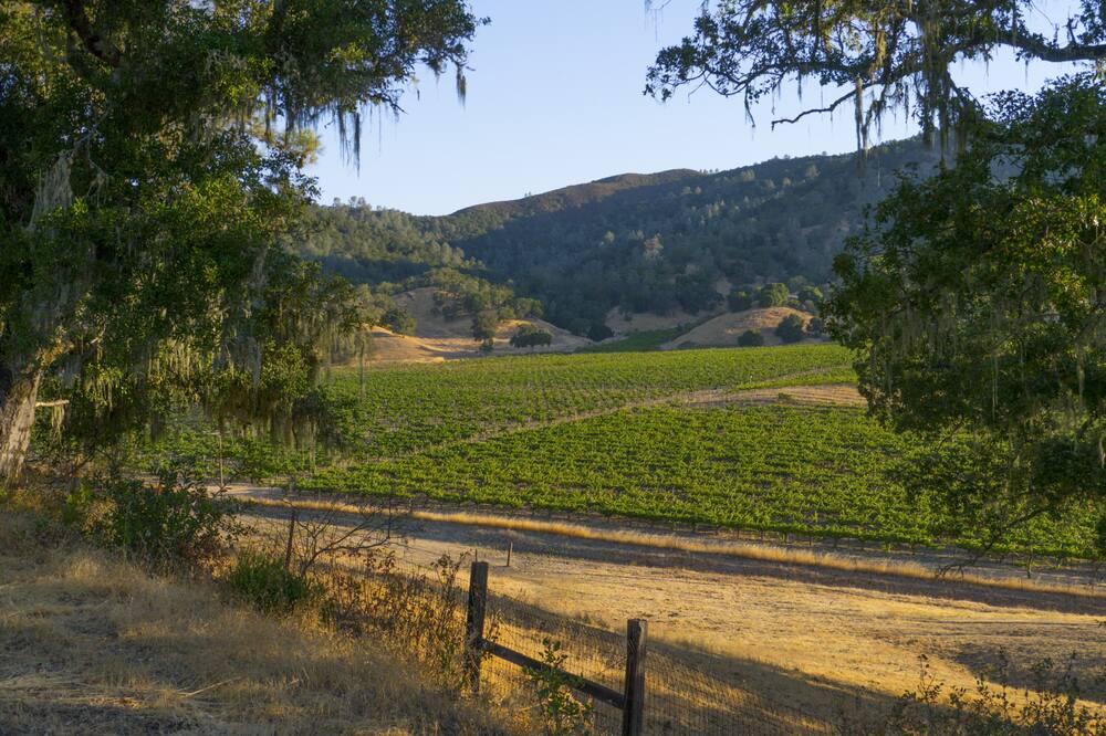 Photo of Outdoor in St. Helena
