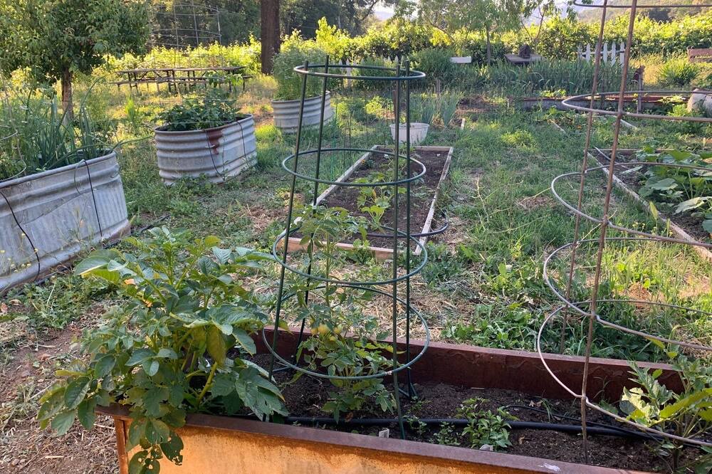 Photo of Outdoor in St. Helena