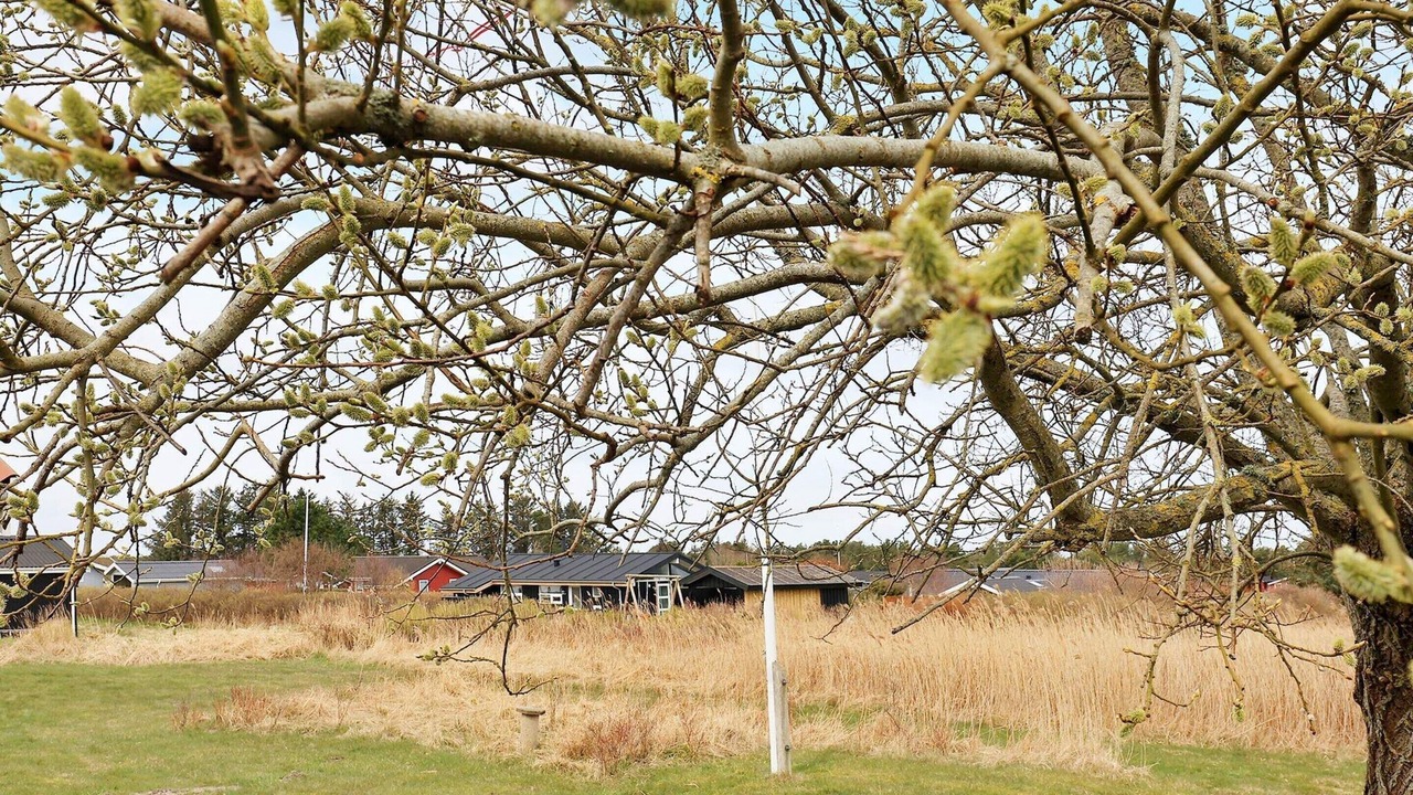 Photo of Others in Hirtshals