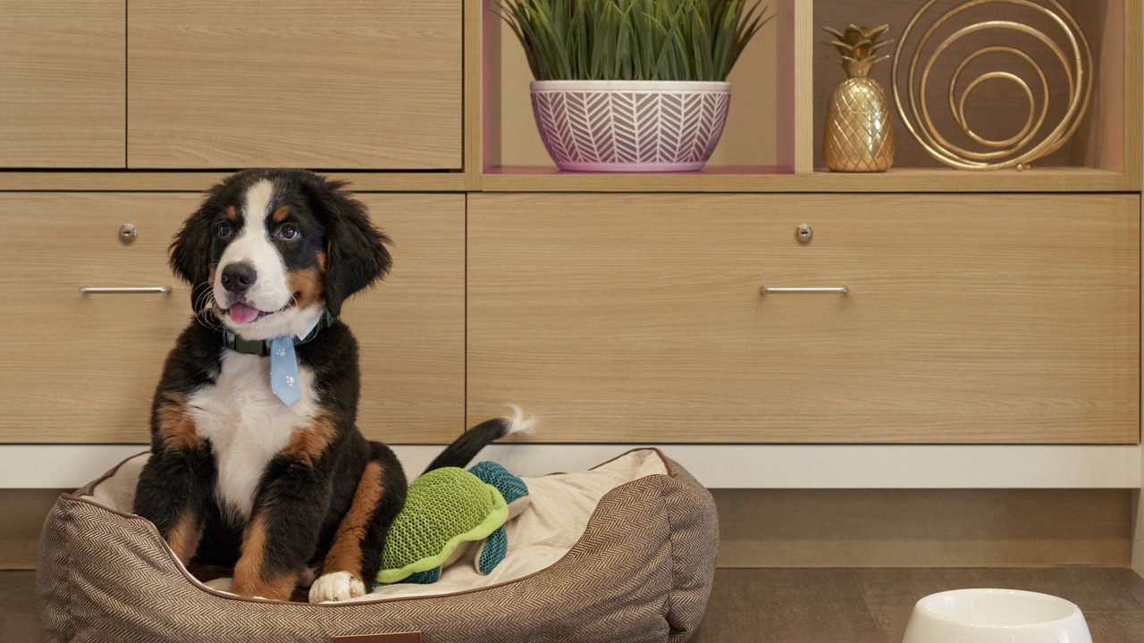 Photo of Others in Ephrata