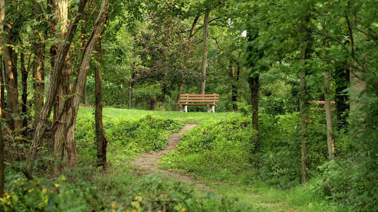 Photo of Outdoor in Ephrata