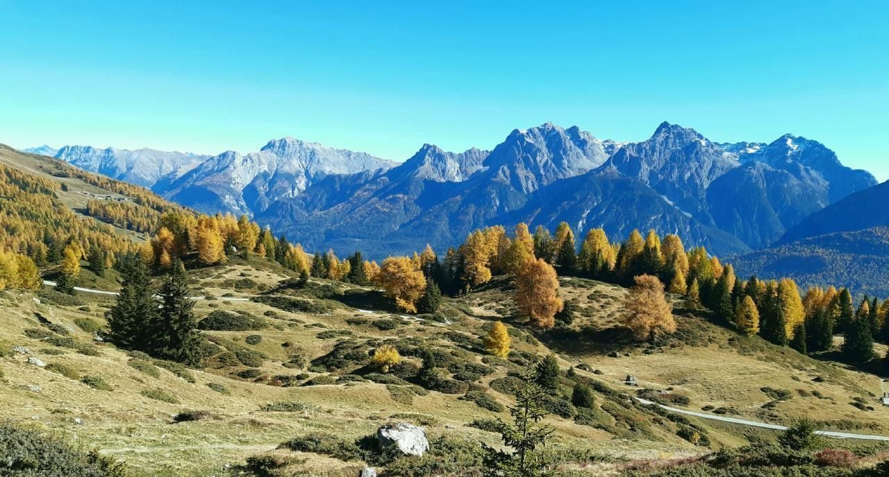 Photo of Others in Engadin Scoul