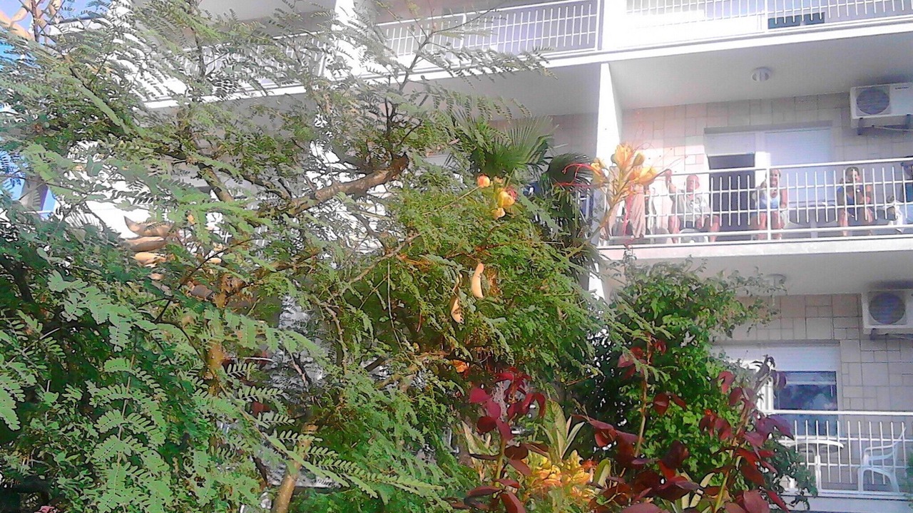 Photo of Outdoor in Sukosan