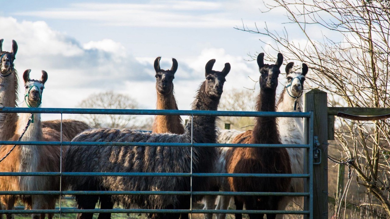 Photo of Others in Godalming