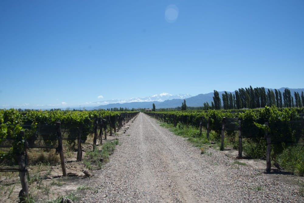 Photo of Outdoor in Cravant-les-Coteaux