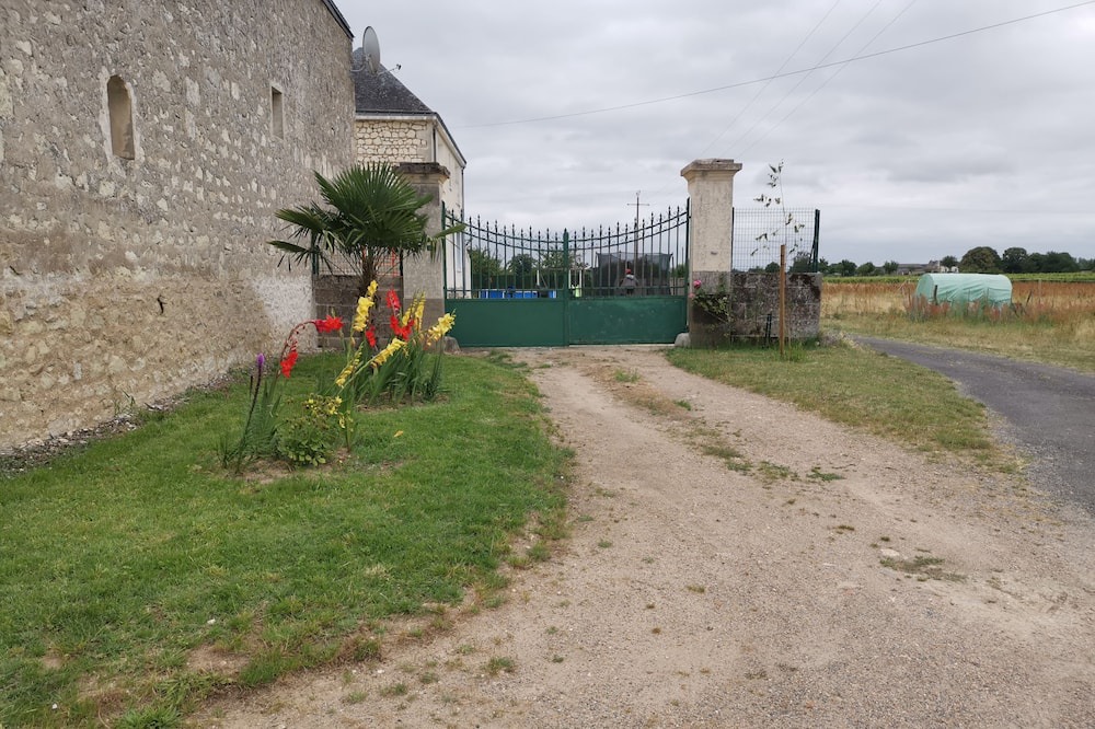 Photo of Outdoor in Cravant-les-Coteaux