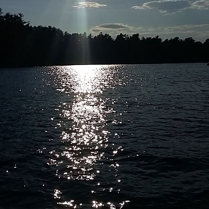 Photo of Others in Acton