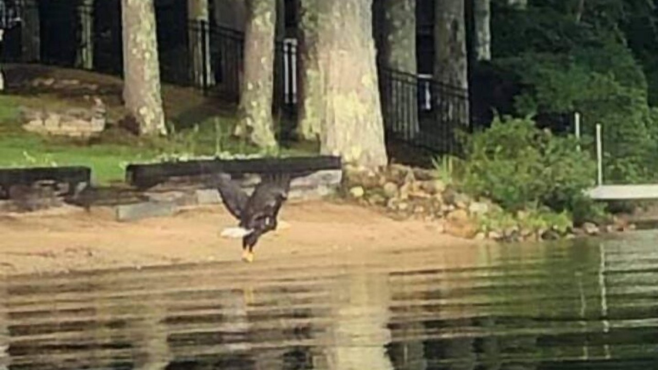 Photo of Outdoor in Acton