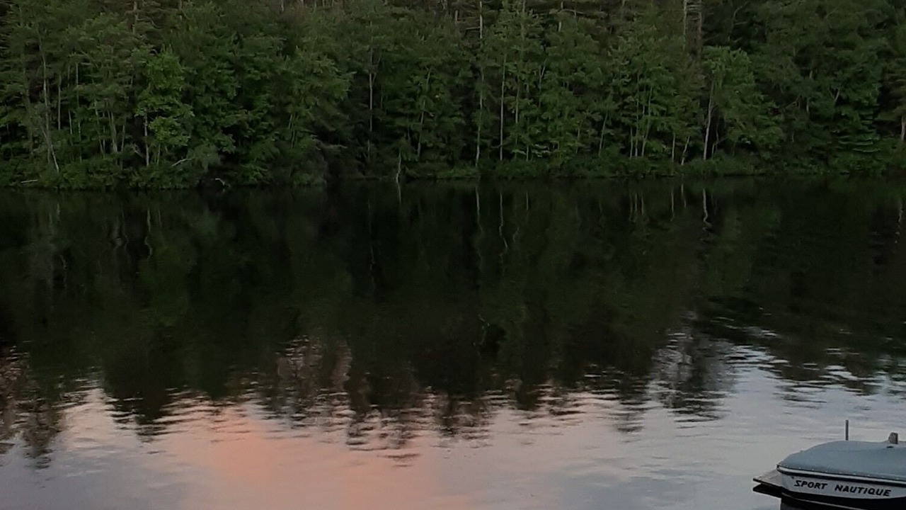 Photo of Others in Acton