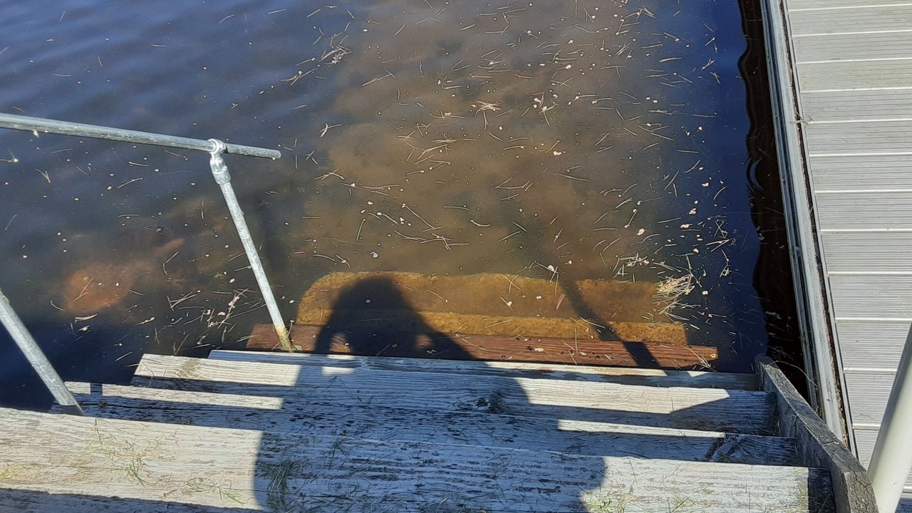 Photo of Outdoor in Acton