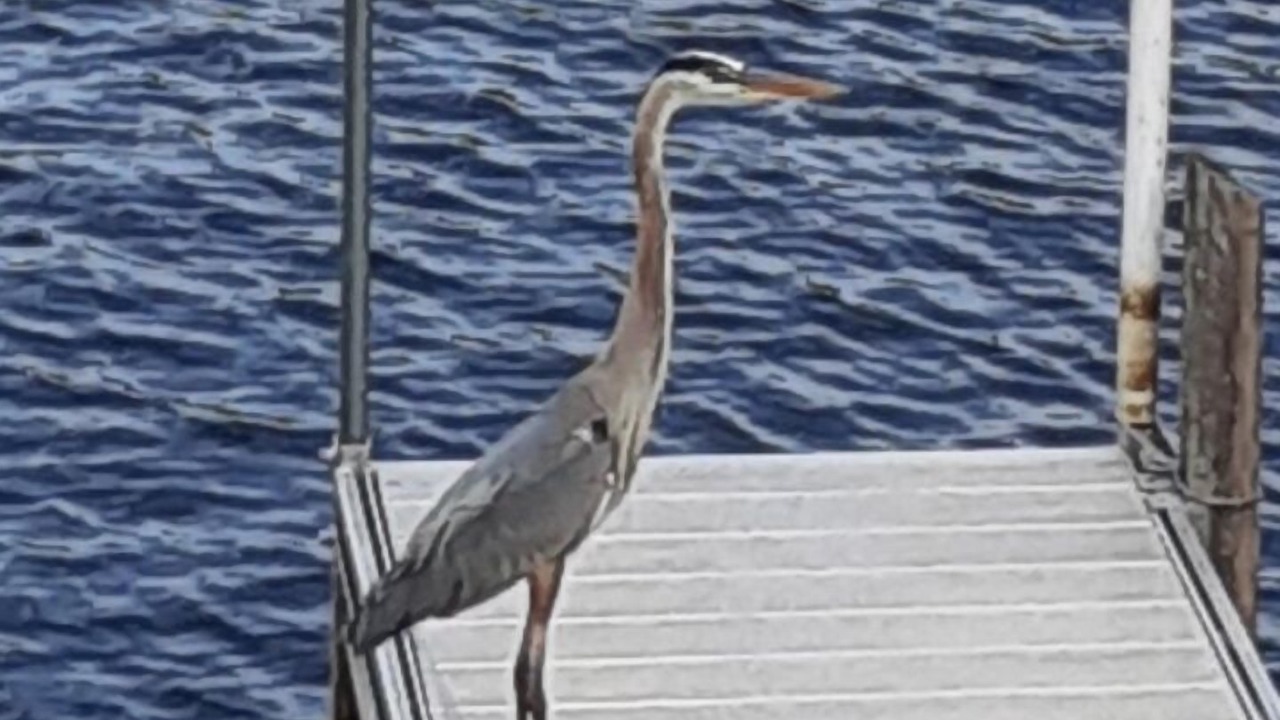 Photo of Others in Acton