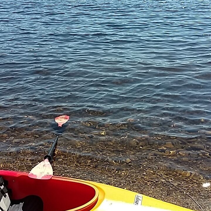 Photo of Others in Acton