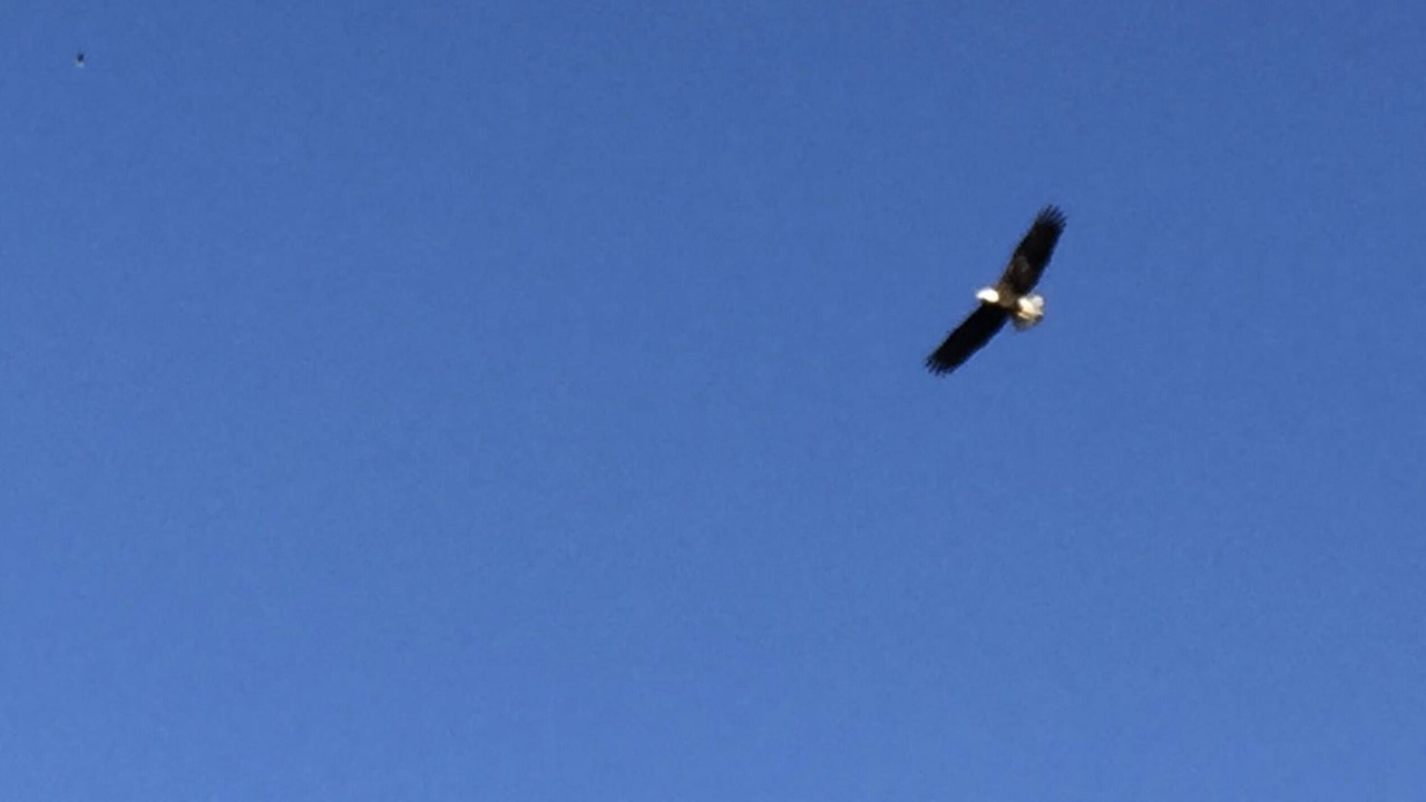 Photo of Others in Eureka Springs