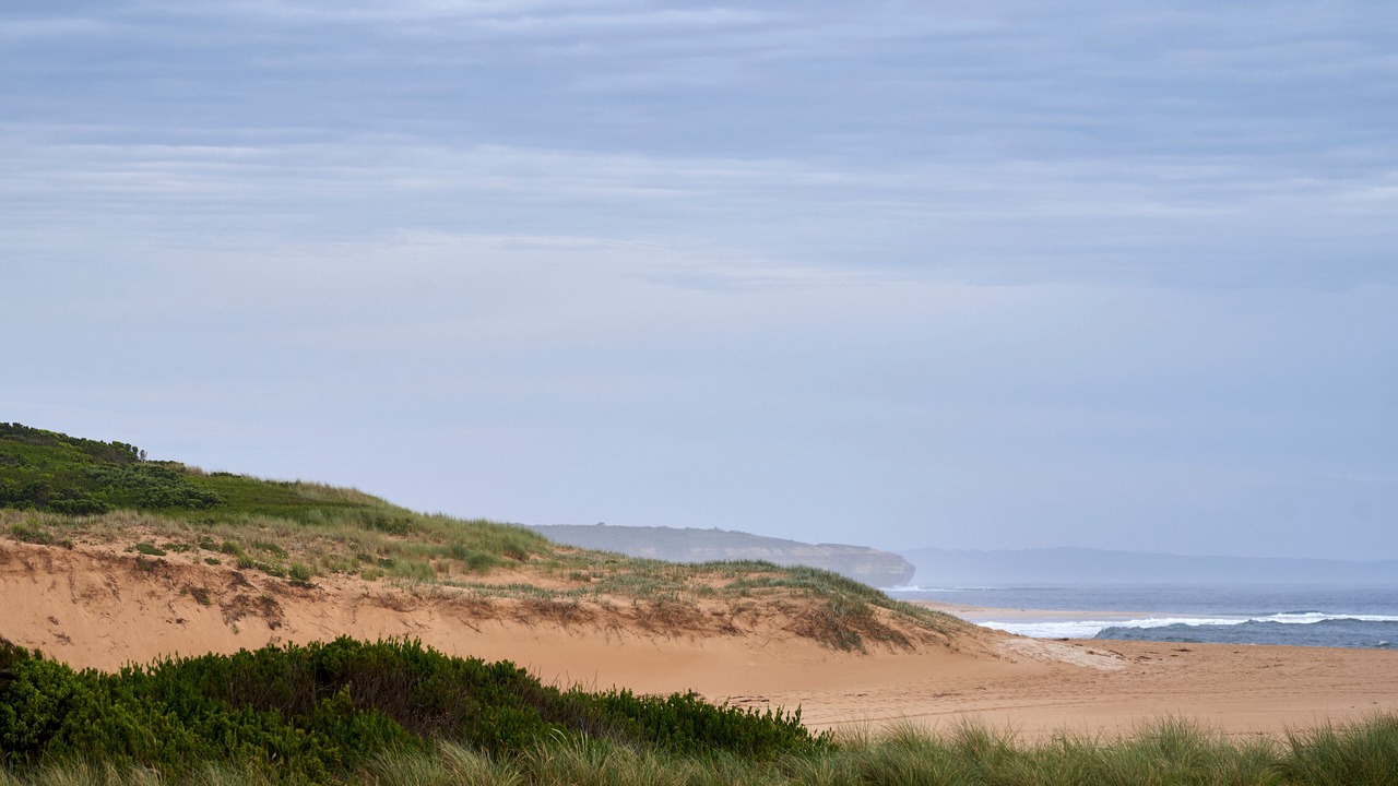 Photo of Others in Peterborough