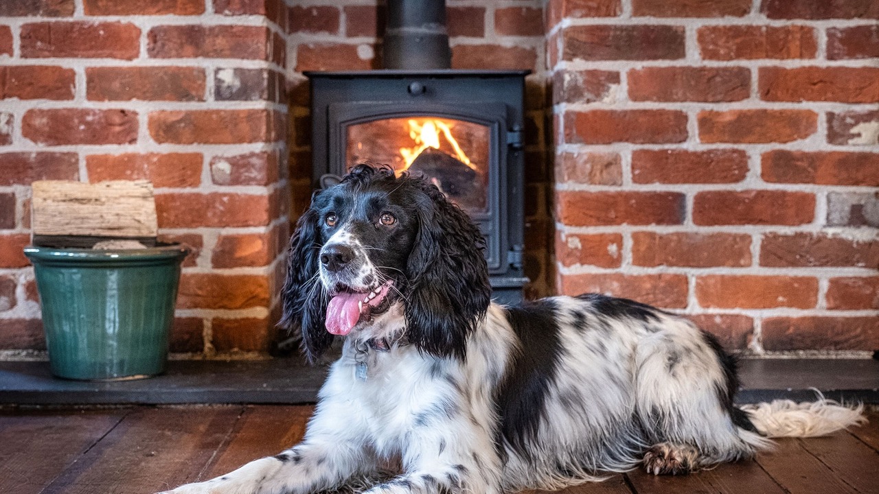 Photo of Others in Wells-next-the-Sea