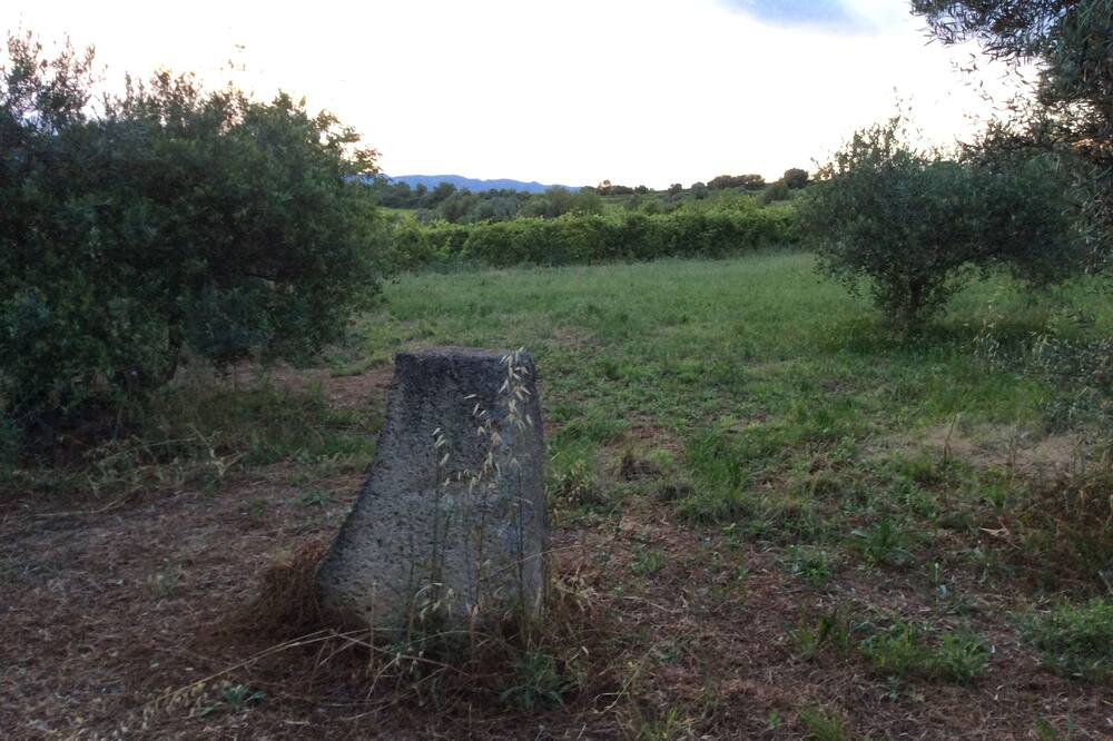 Photo of Outdoor in Thezan-les-Beziers