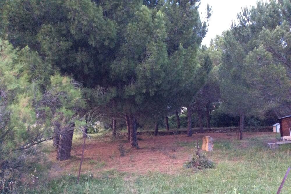 Photo of Outdoor in Thezan-les-Beziers