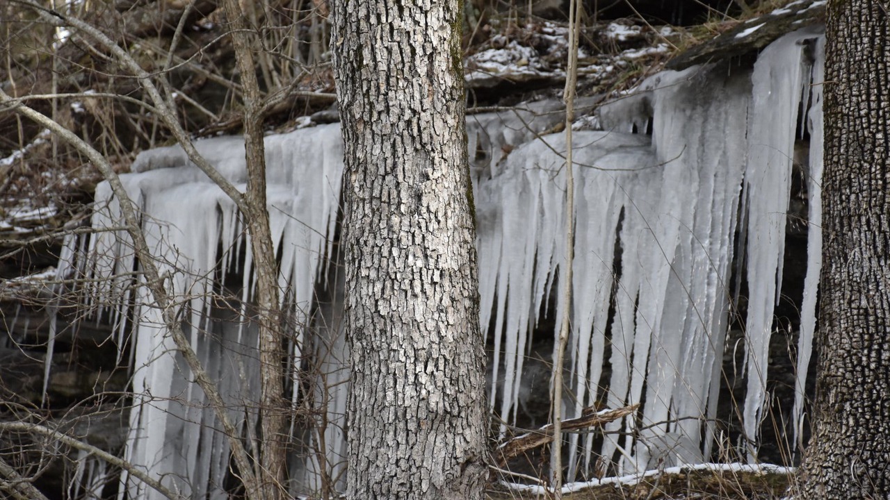 Photo of Outdoor in Eureka Springs