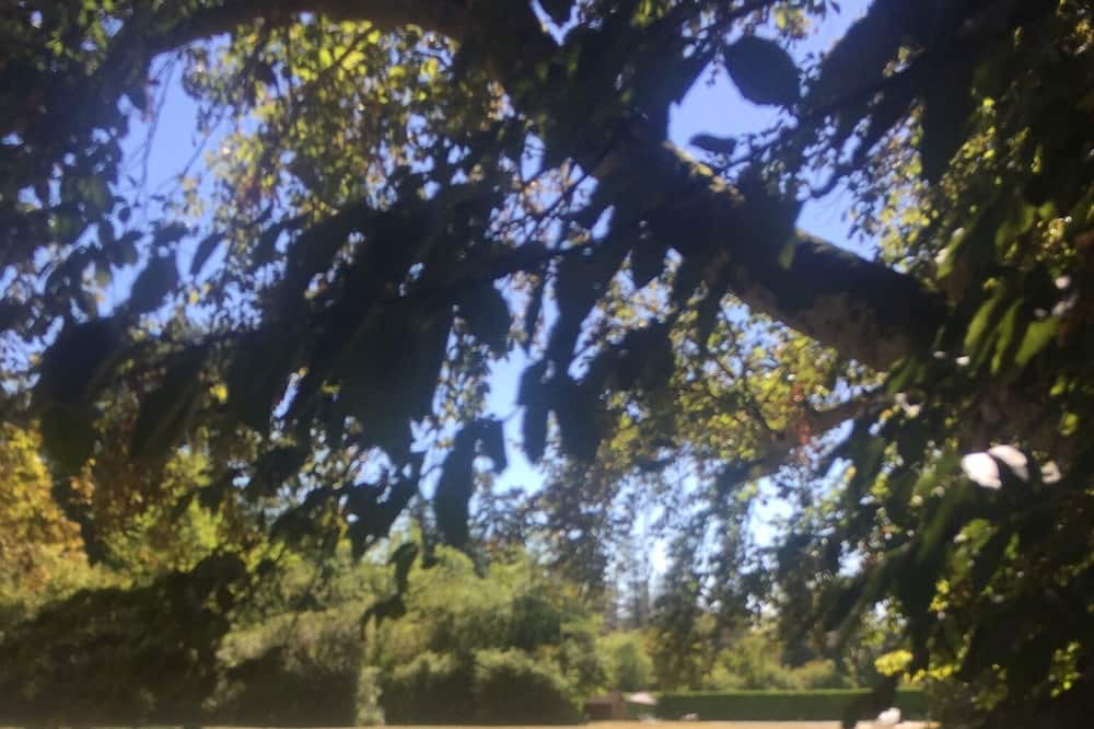 Photo of Outdoor in Le Donjon