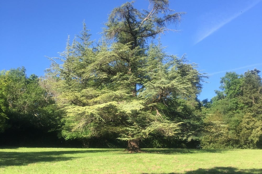 Photo of Outdoor in Le Donjon