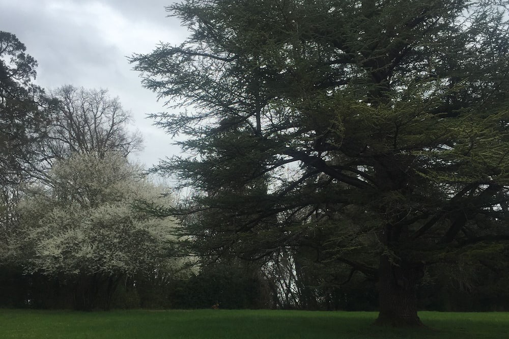 Photo of Outdoor in Le Donjon