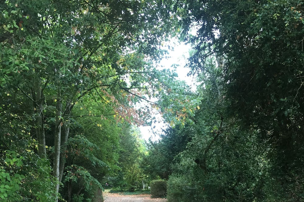 Photo of Outdoor in Le Donjon