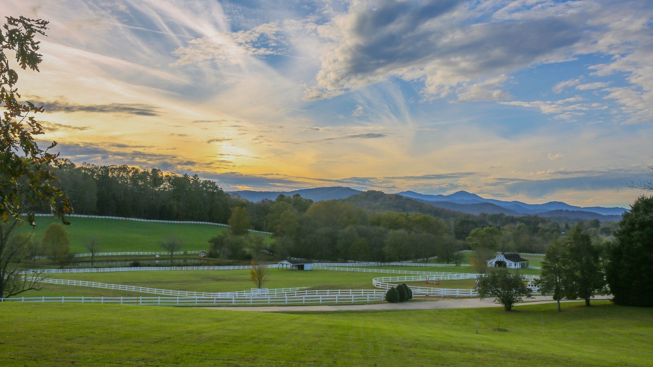 Photo of Outdoor in Hendersonville