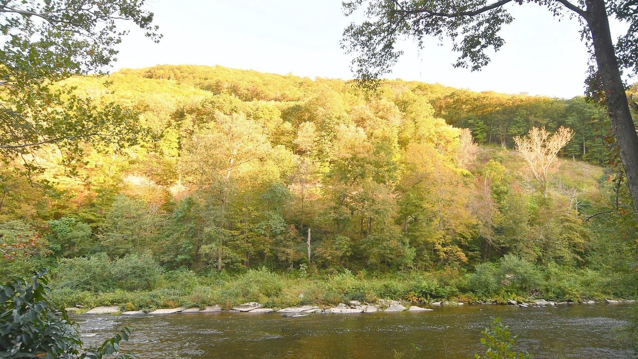 Photo of Others in Great Cacapon