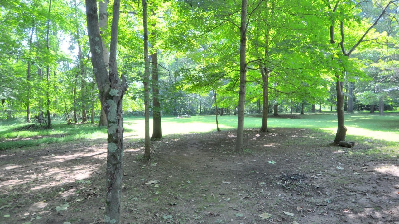 Photo of Others in Great Cacapon