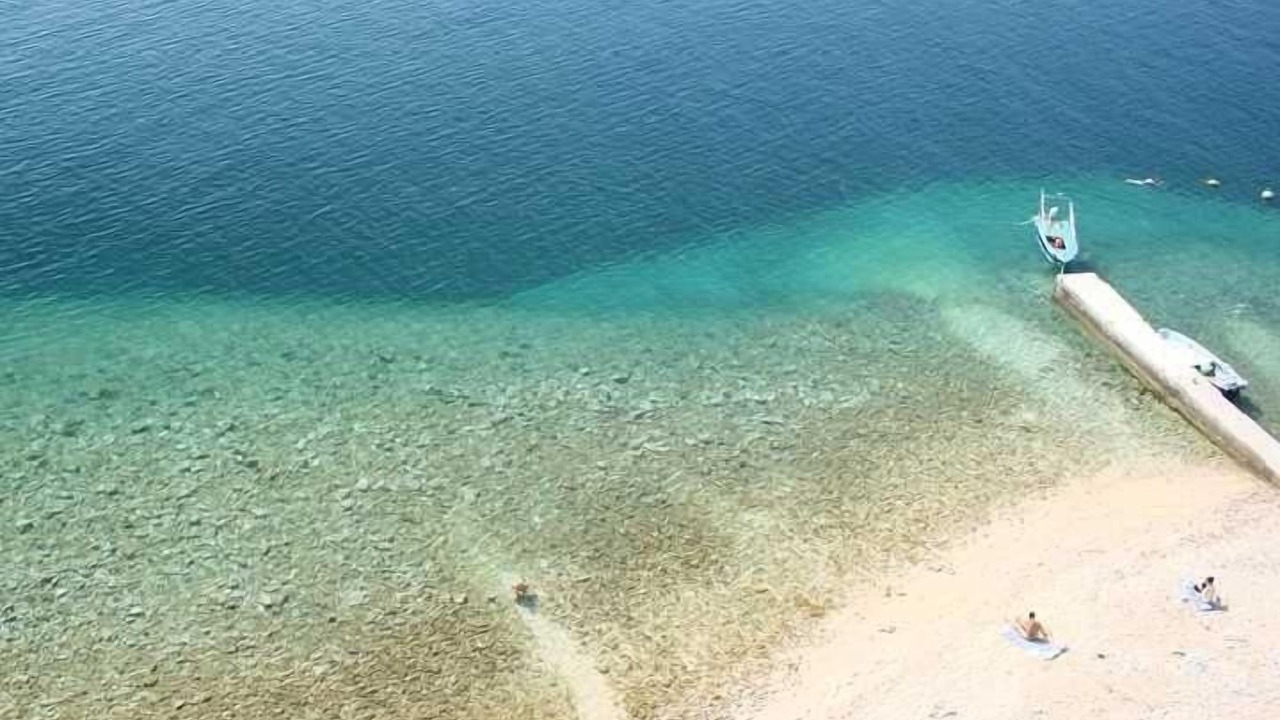Photo of Others in Palit