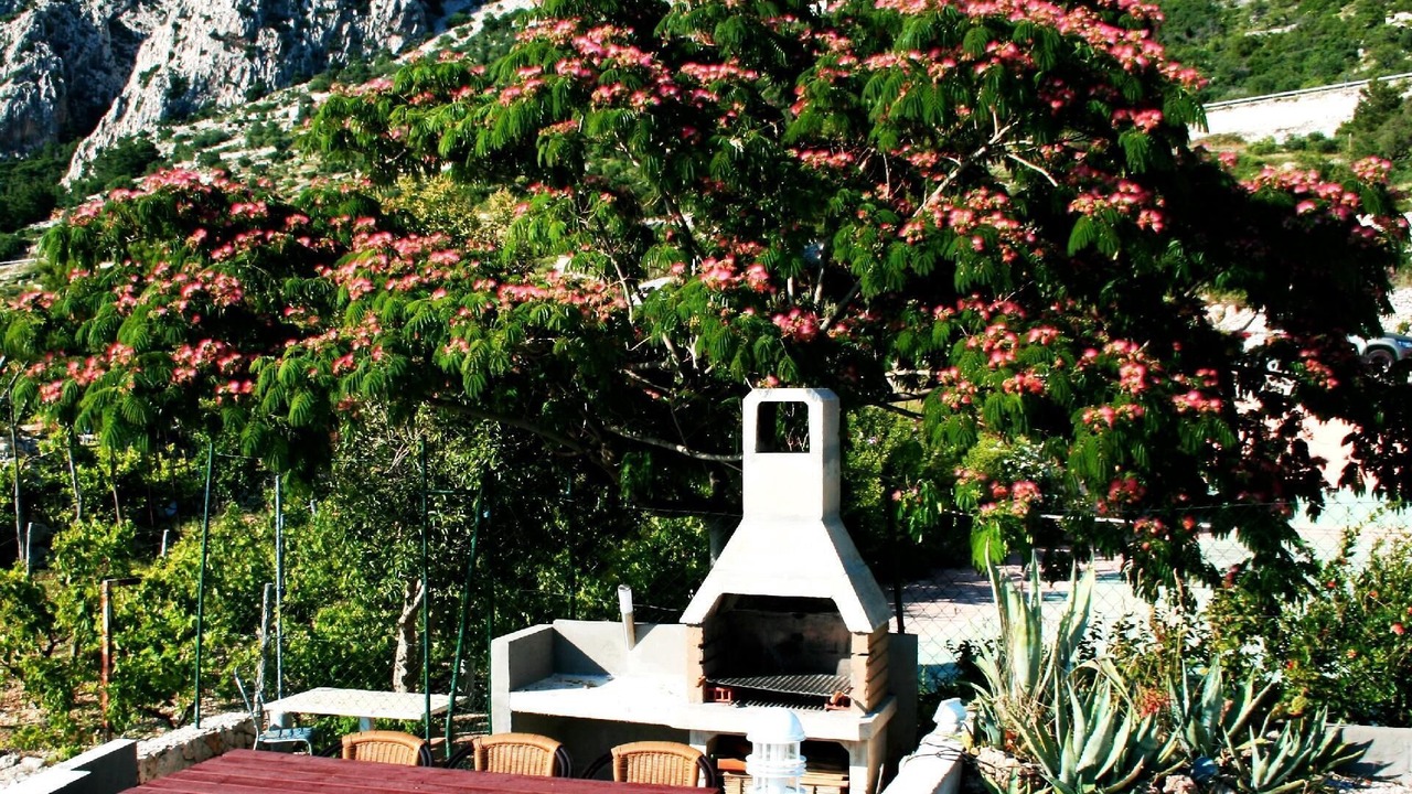 Photo of Outdoor in Drasnice