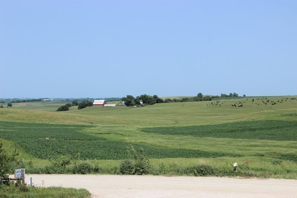 Photo of Others in Coon Rapids