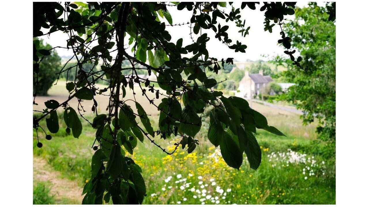Photo of Outdoor in Saint-Laurent-de-Terregatte