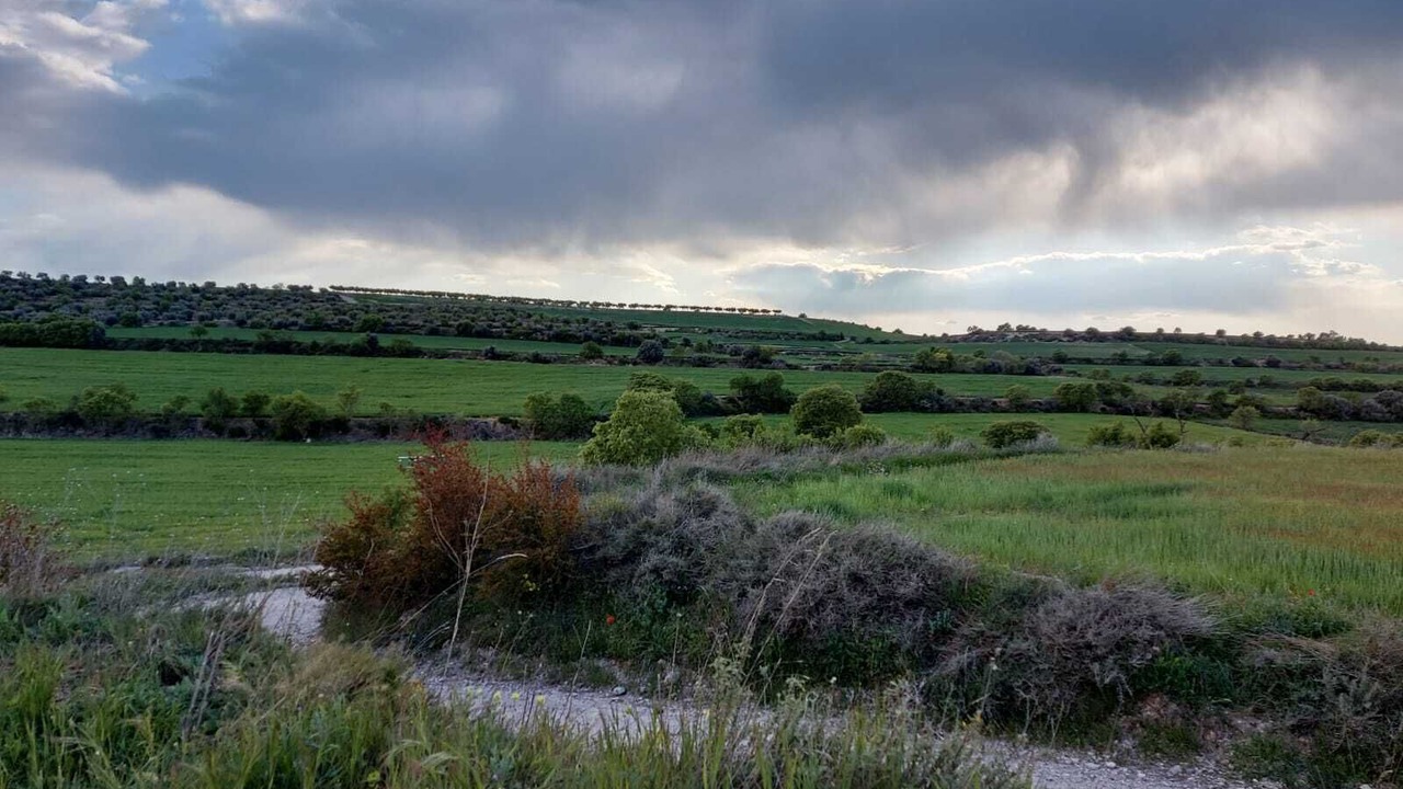 Photo of Outdoor in Claravalls