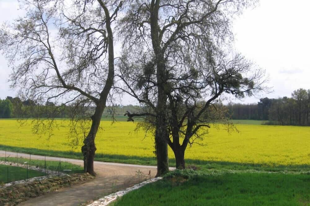 Photo of Outdoor in Thure