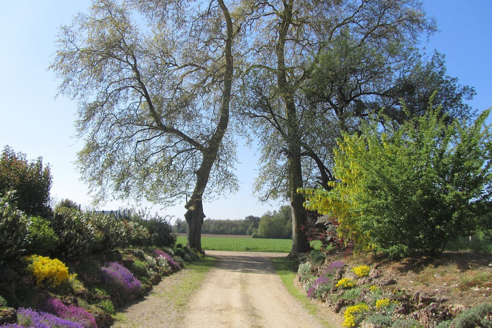 Photo of Outdoor in Thure