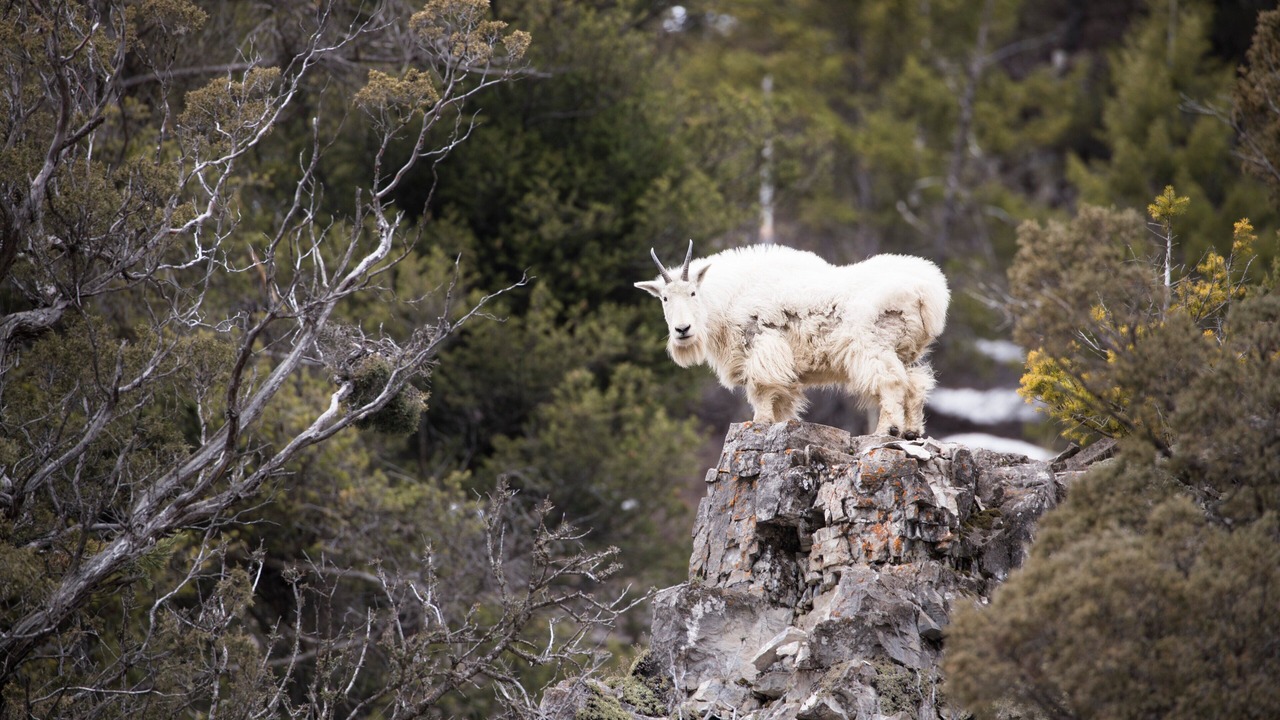 Photo of Outdoor in Alpine Northwest