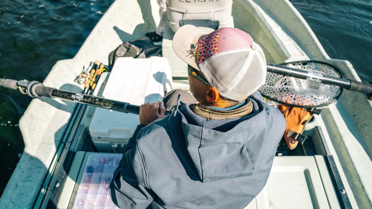 Photo of Others in Island Park