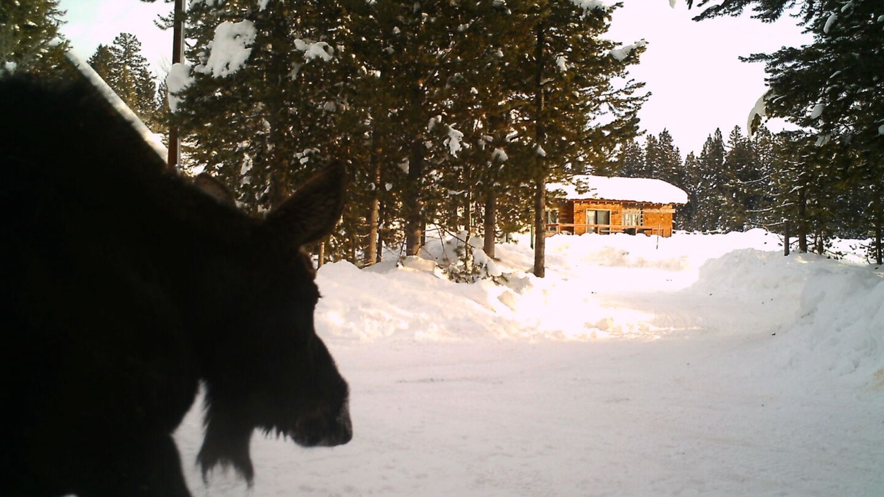Photo of Outdoor in Island Park