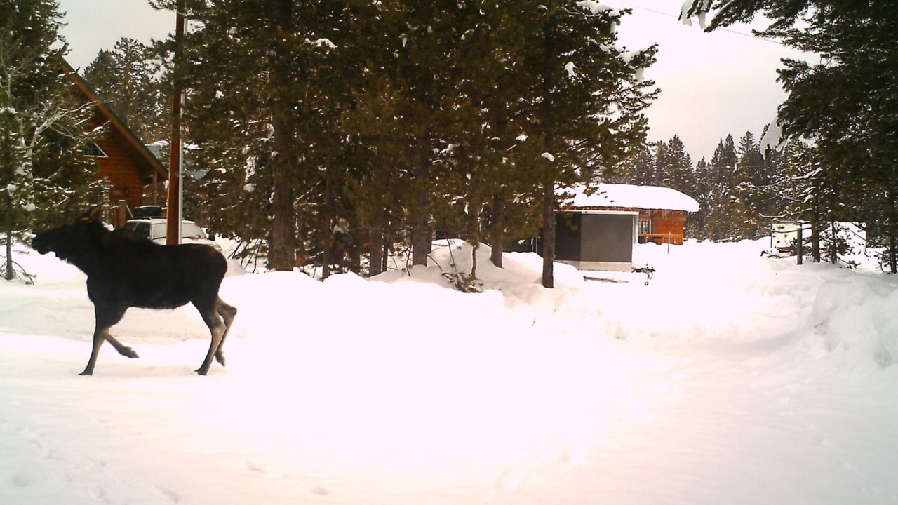 Photo of Outdoor in Island Park