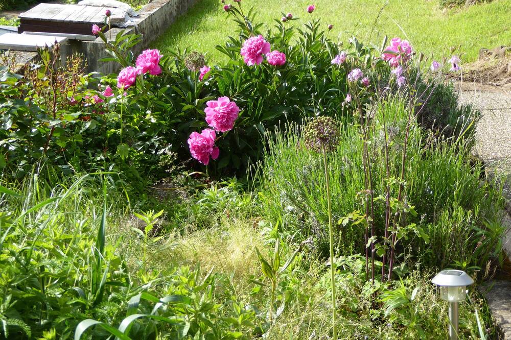 Photo of Outdoor in Eschbourg