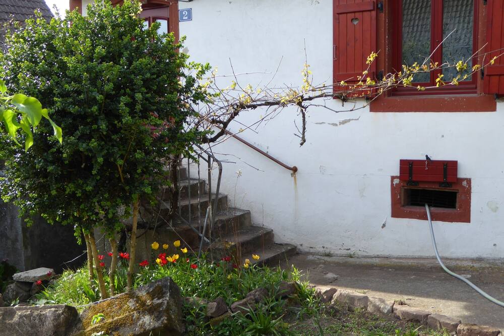 Photo of Outdoor in Eschbourg