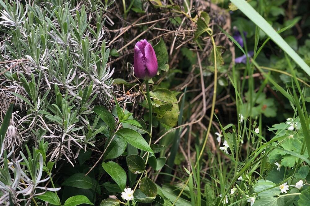 Photo of Outdoor in Eschbourg