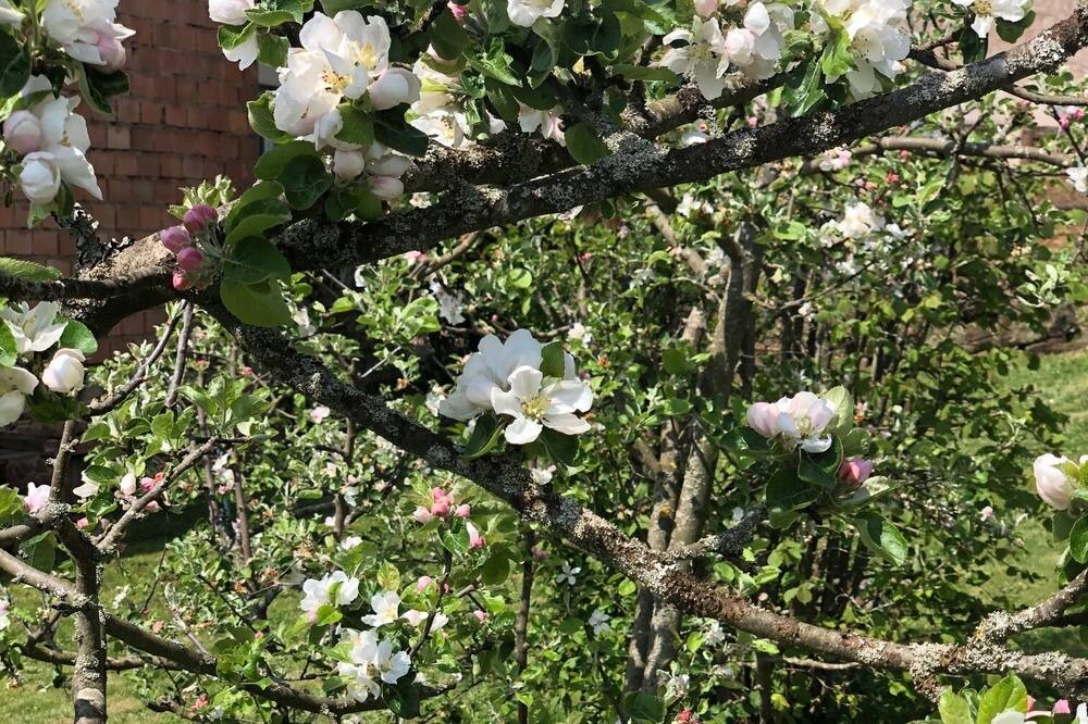 Photo of Outdoor in Eschbourg