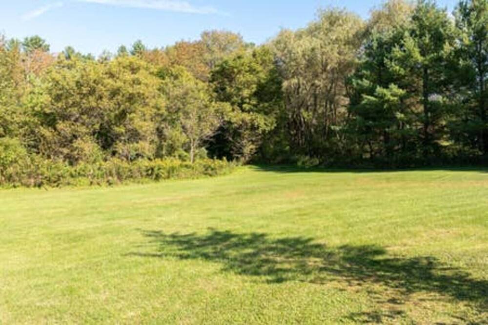 Photo of Outdoor in Dorset