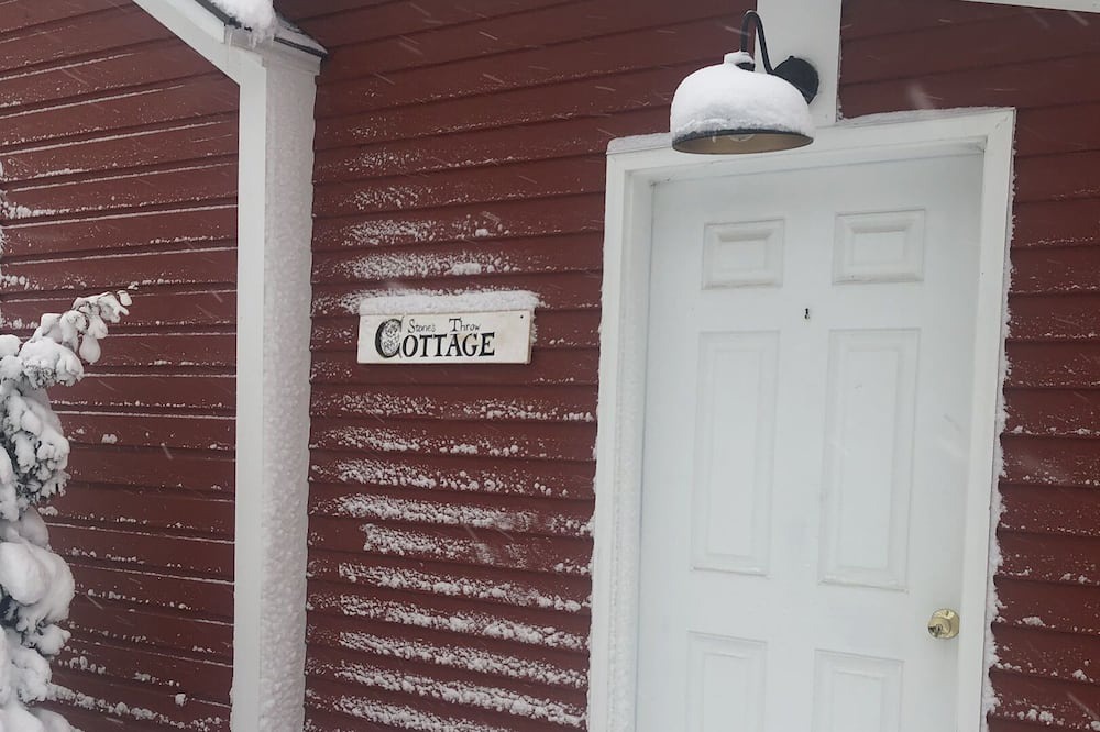 Photo of Others in Dorset