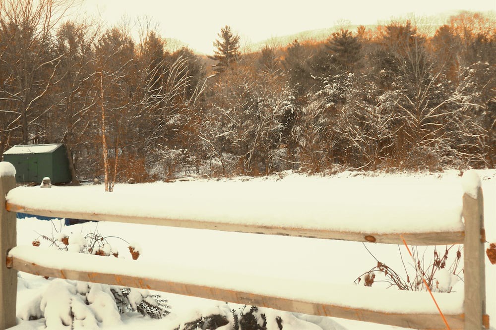 Photo of Others in Dorset